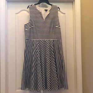Ann Taylor Dress